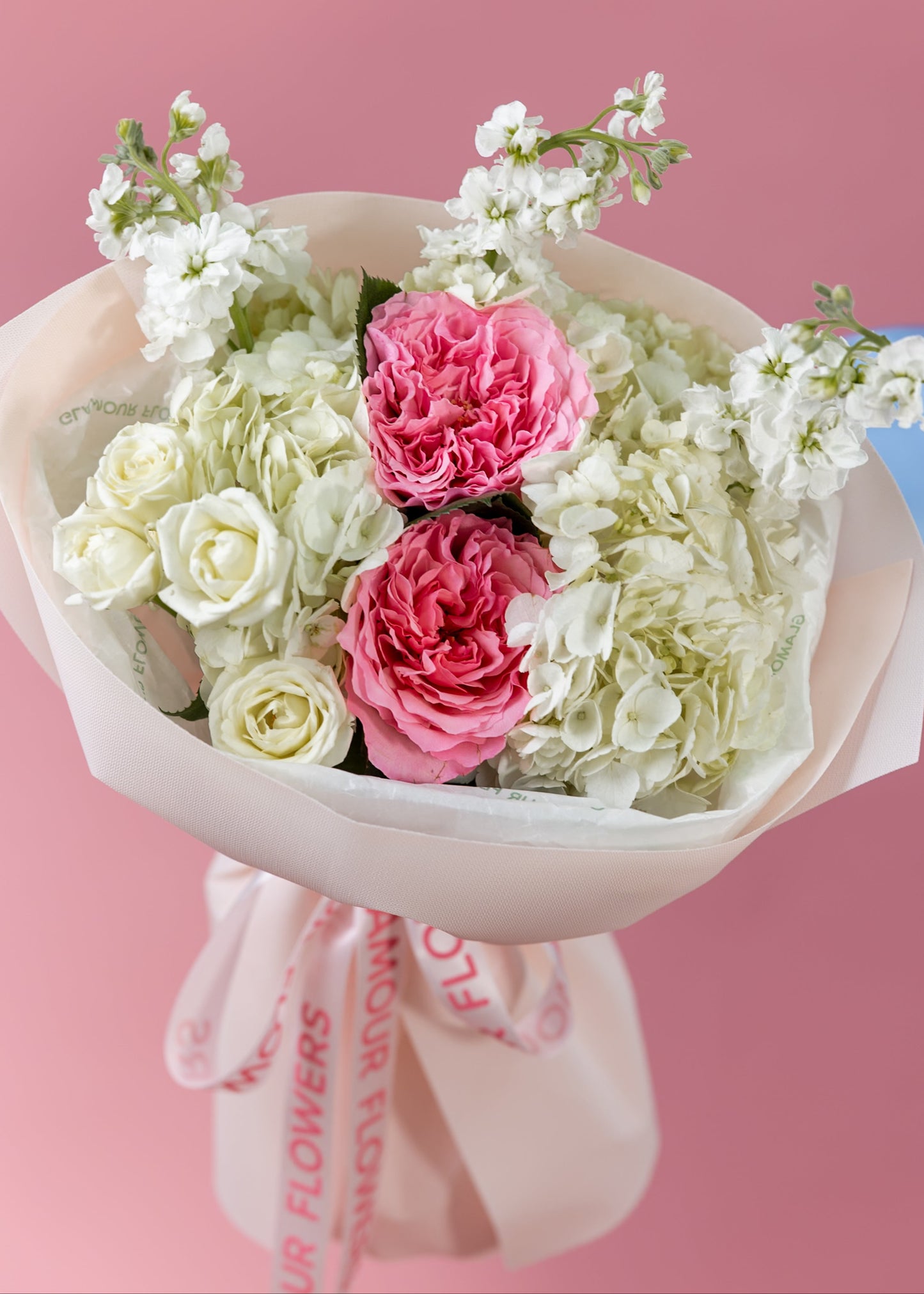 Blush Harmony