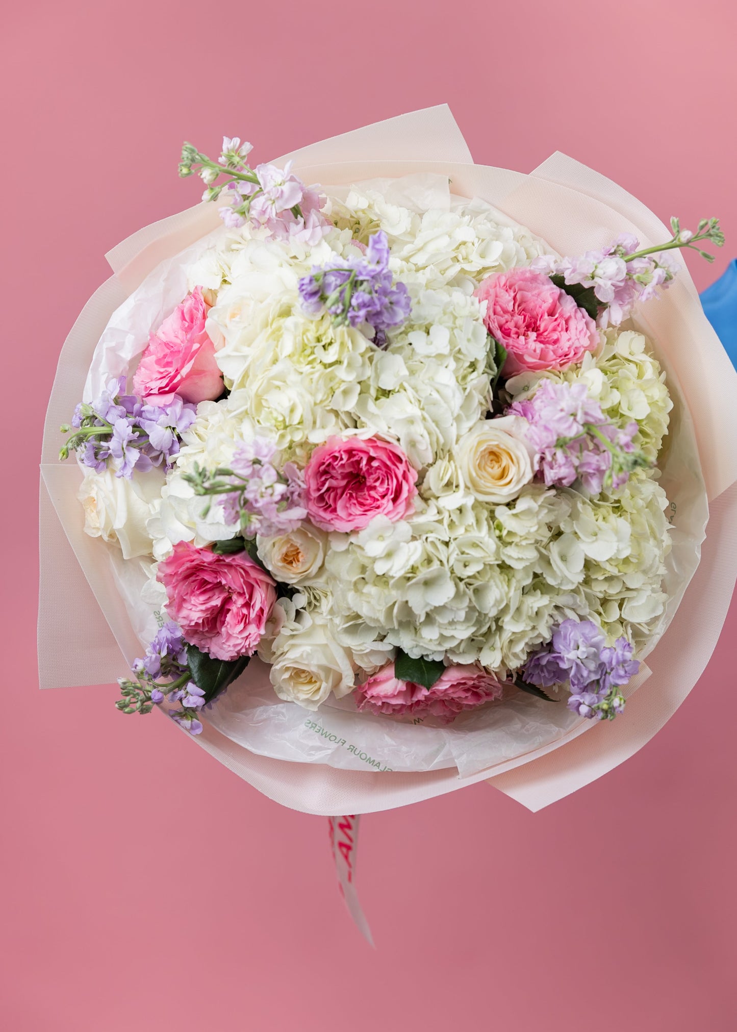Blush Harmony