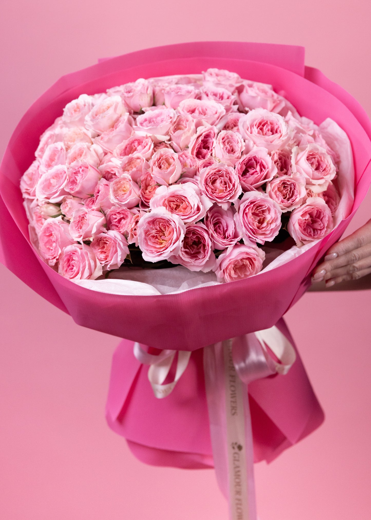 Blush Dream